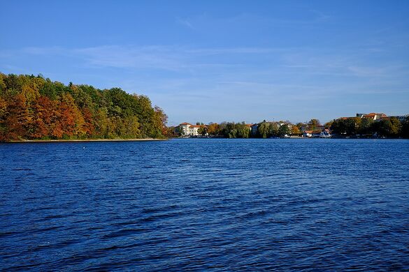 Straussee Blick vom Westufer.jpg