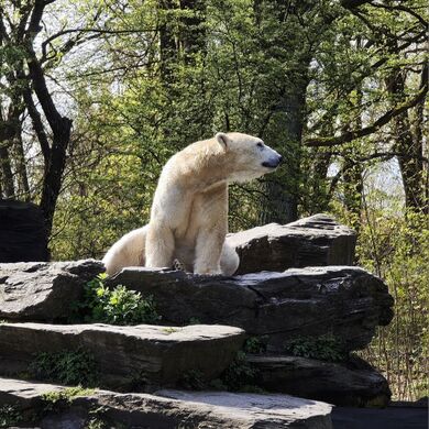 Tierpark Berlin