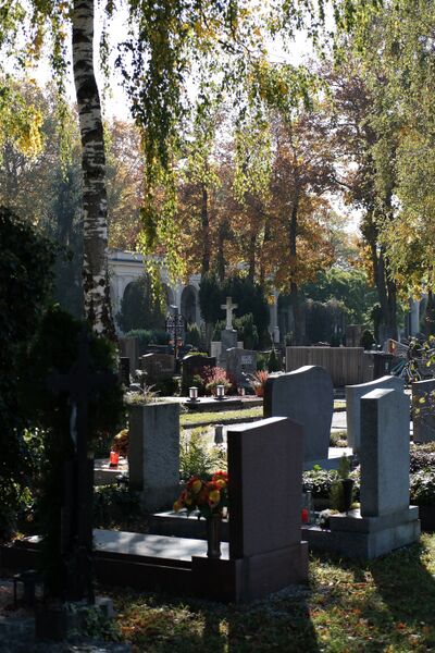 Datei:Friedhof Wels 27.jpg