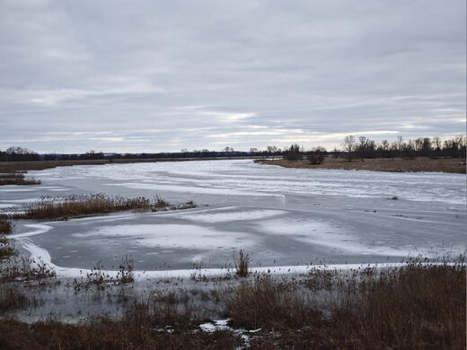 Kuestrin Oder 03.jpg