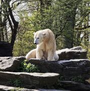 Tierpark Berlin