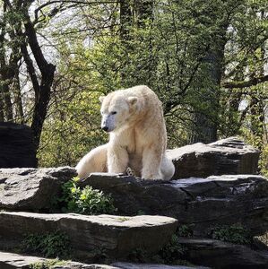 Tierpark Berlin