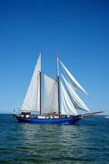 Hanse Sail 2026
