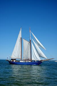 Hanse Sail 2026