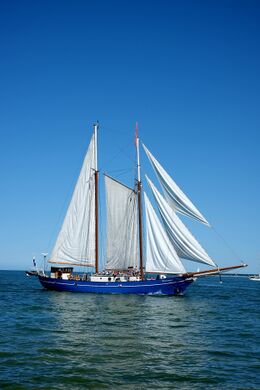 Hanse Sail 2026