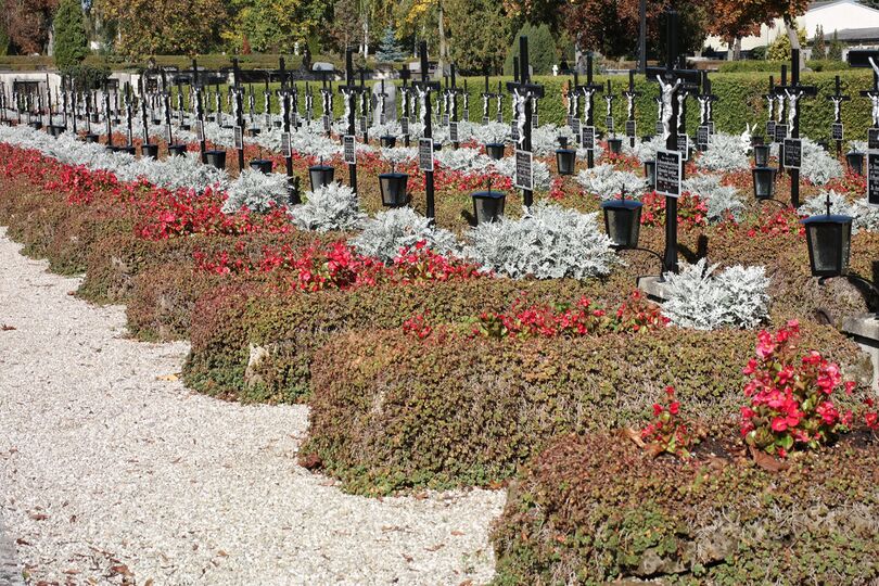 Friedhof Wels 10.jpg