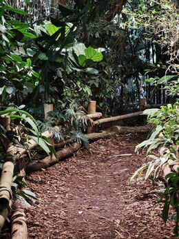Regenwaldhaus 1.jpg