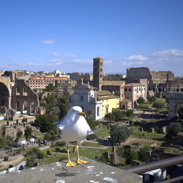 Datei:Rom Moewe 06.jpg