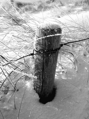 Schnee am Strandabgang.jpg