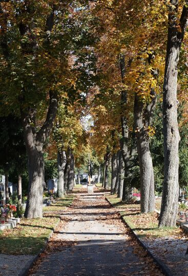 Friedhof Wels 04.jpg