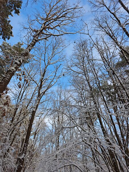 Datei:20260104 SRB08.jpg