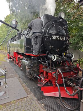 99 7237 Drei Anne Hohne 09 2025.jpg