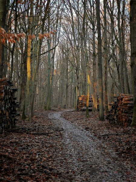 Datei:2025 Annatal 1.jpg